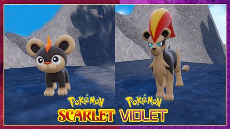 How To Evolve Litleo Into Pyroar In Pokemon Scarlet .
